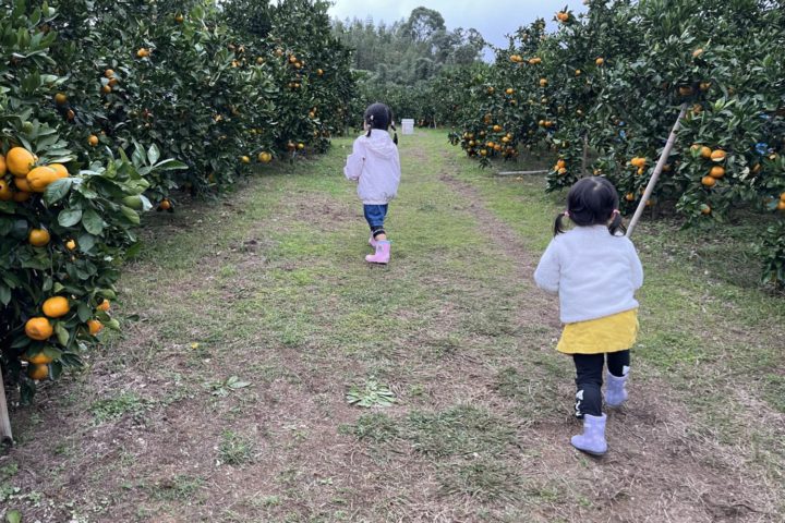 思い立ったが吉日