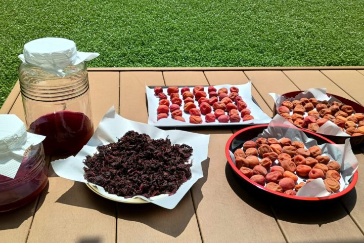 梅仕事～土用干し