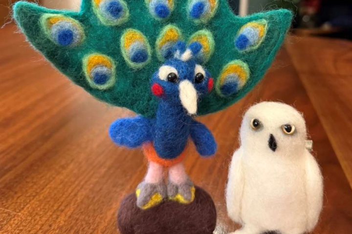 やってきました💦年に2回の