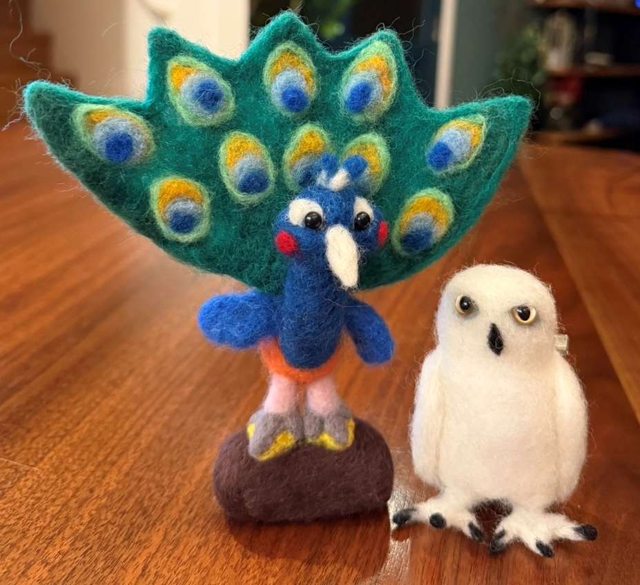 やってきました💦年に2回の