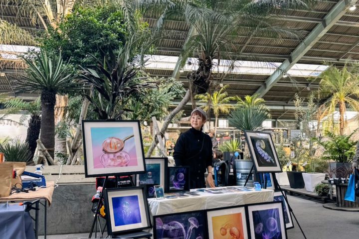 くらげとキューバサンド