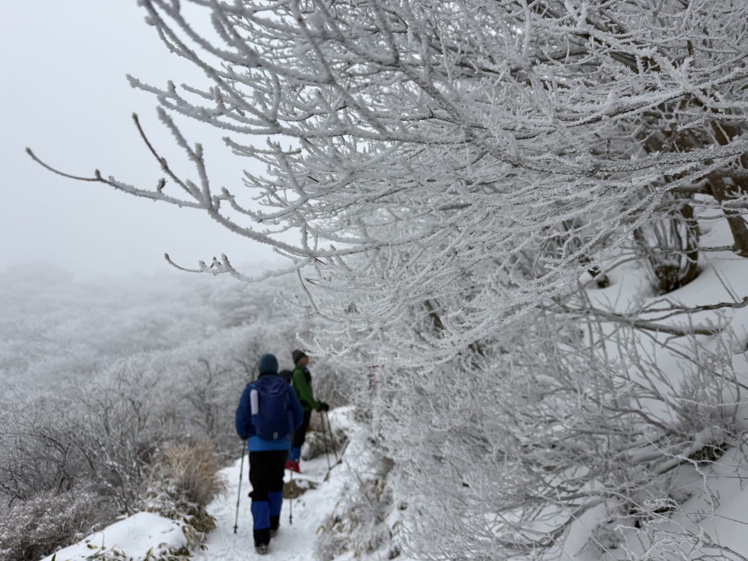 極寒登山＆キャンプ