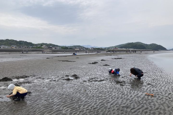 マテ貝採り